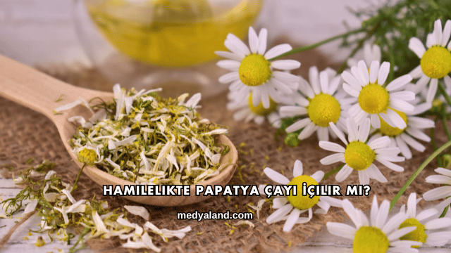 Hamilelikte Papatya Çayı İçilir mi?