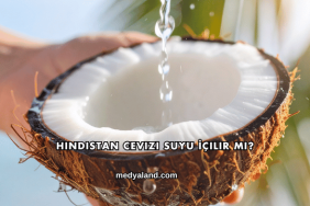 Hindistan Cevizi Suyu İçilir mi?