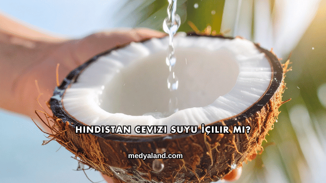 Hindistan Cevizi Suyu İçilir mi?