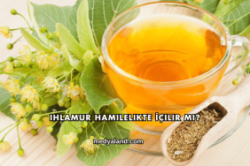 Ihlamur Hamilelikte İçilir mi?