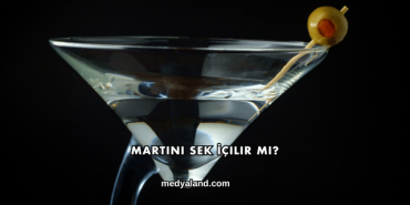 Martini Sek İçilir mi?