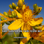 Sarı Kantaron Yağı İçilir mi?