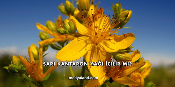 Sarı Kantaron Yağı İçilir mi?