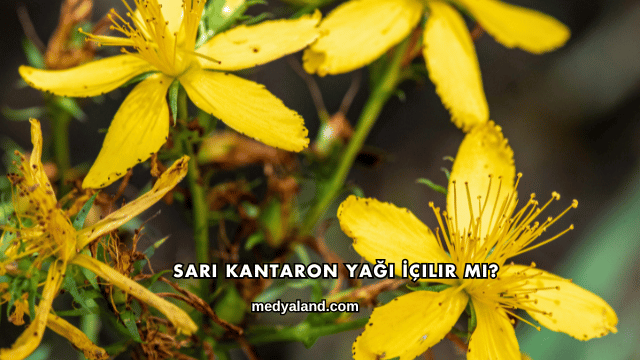 Sarı Kantaron Yağı İçilir mi?