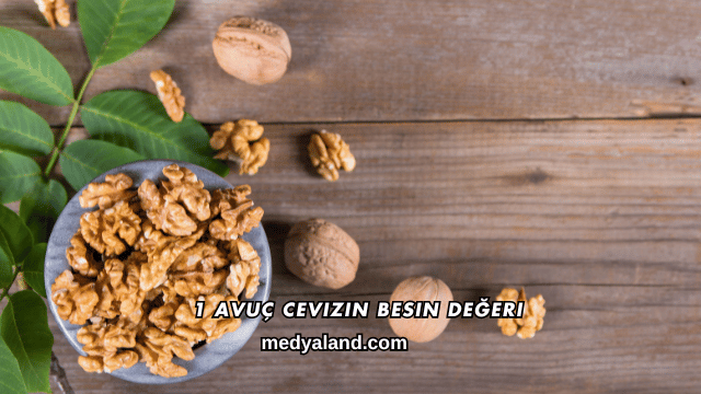 1 Avuç Cevizin Besin Değeri