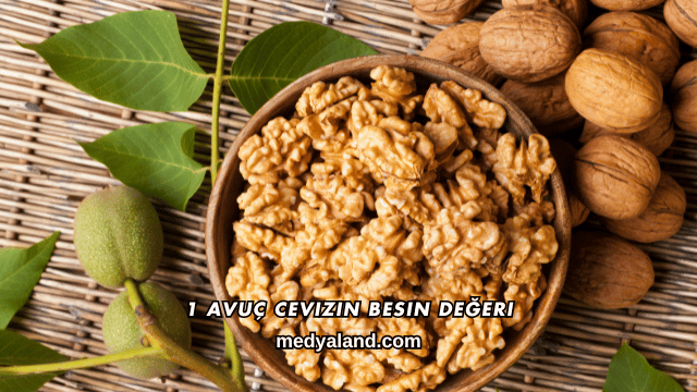 1 Avuç Cevizin Besin Değeri