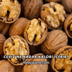 Ceviz Ne Kadar Kalori İçerir?
