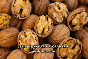 Ceviz Ne Kadar Kalori İçerir?