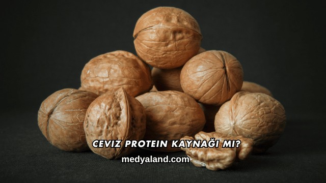 Ceviz Protein Kaynağı mı?