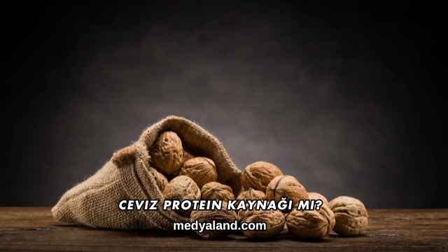 Ceviz Protein Kaynağı mı?