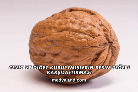 Ceviz ve Diğer Kuruyemişlerin Besin Değeri Karşılaştırması