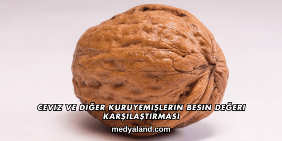 Ceviz ve Diğer Kuruyemişlerin Besin Değeri Karşılaştırması