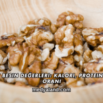 Cevizin Besin Değerleri_ Kalori, Protein ve Yağ Oranı