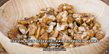 Cevizin Besin Değerleri_ Kalori, Protein ve Yağ Oranı