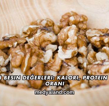 Cevizin Besin Değerleri_ Kalori, Protein ve Yağ Oranı