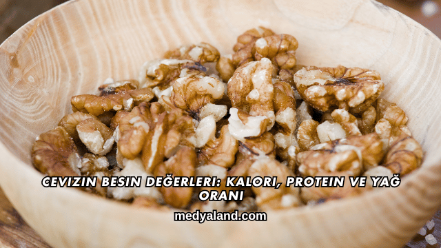 Cevizin Besin Değerleri_ Kalori, Protein ve Yağ Oranı