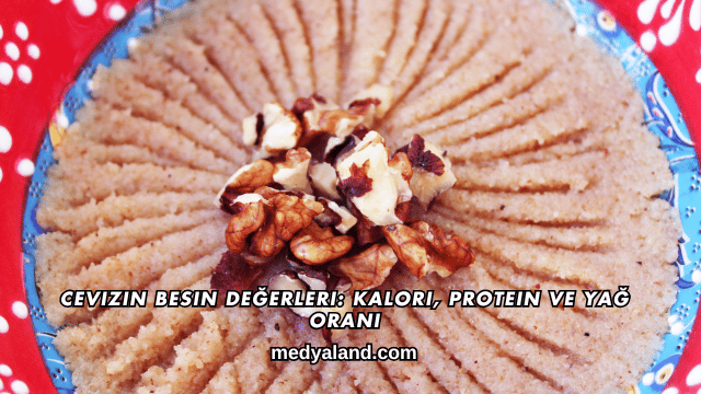 Cevizin Besin Değerleri_ Kalori, Protein ve Yağ Oranı