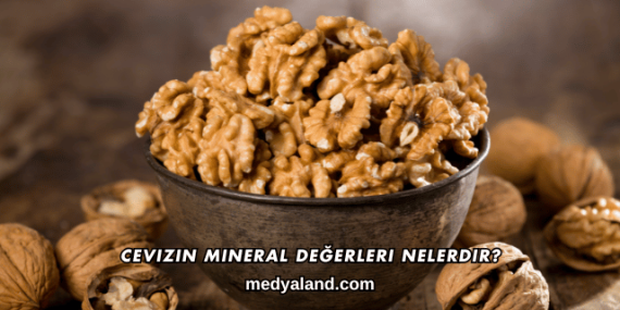 Cevizin Mineral Değerleri Nelerdir?