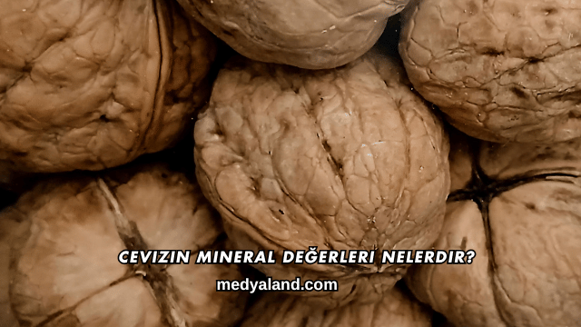 Cevizin Mineral Değerleri Nelerdir?