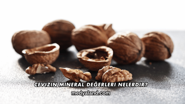 Cevizin Mineral Değerleri Nelerdir?