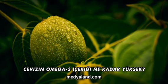 Cevizin Omega-3 İçeriği Ne Kadar Yüksek?