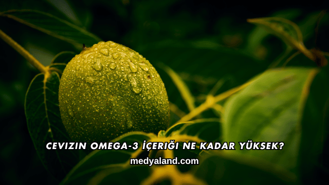 Cevizin Omega-3 İçeriği Ne Kadar Yüksek?