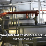 Şalgam Üretim Tesisi Maliyeti 2026