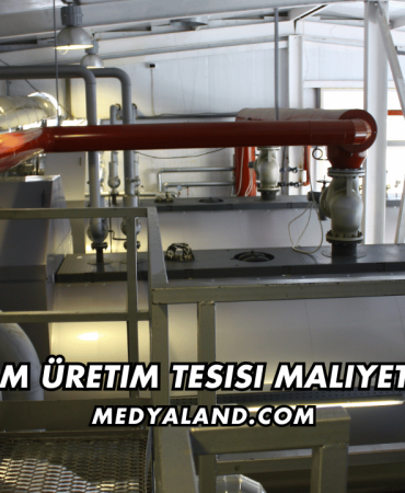 Şalgam Üretim Tesisi Maliyeti 2026