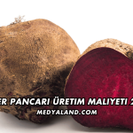 Şeker Pancarı Üretim Maliyeti 2026
