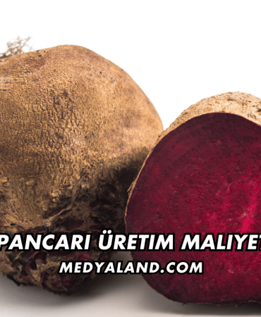 Şeker Pancarı Üretim Maliyeti 2026