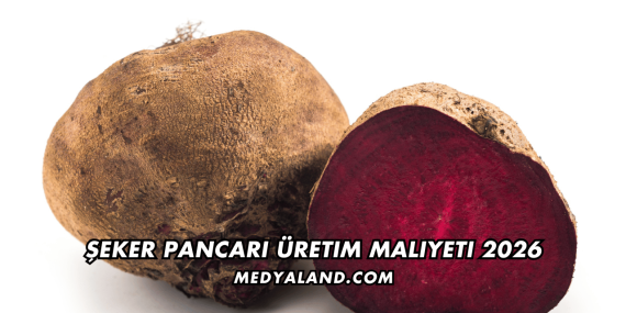 Şeker Pancarı Üretim Maliyeti 2026