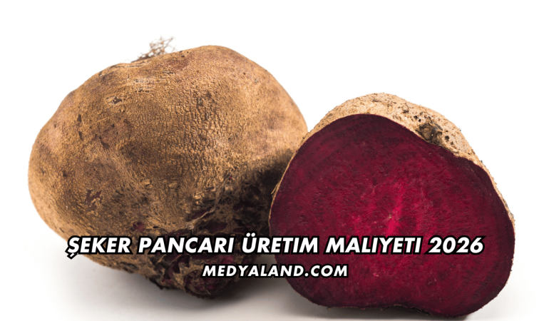 Şeker Pancarı Üretim Maliyeti 2026