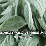 Adaçayı Kilo Verdirir mi?