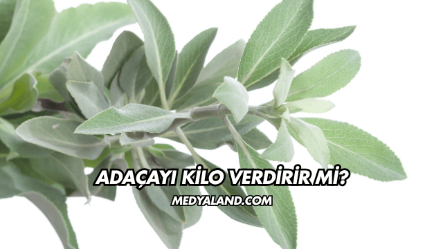 Adaçayı Kilo Verdirir mi?