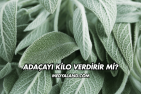 Adaçayı Kilo Verdirir mi?