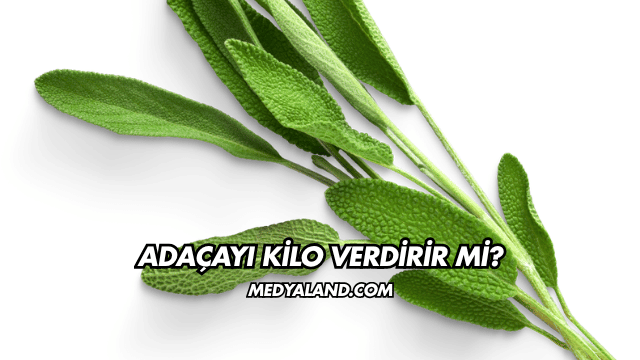 Adaçayı Kilo Verdirir mi?