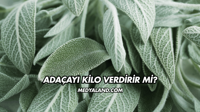 Adaçayı Kilo Verdirir mi?