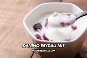 Danino Faydalı mı?
