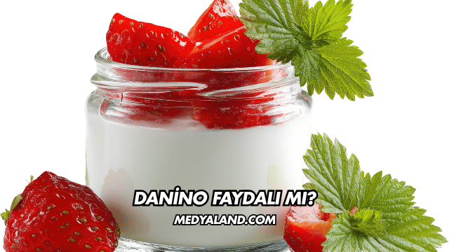 Danino Faydalı mı?