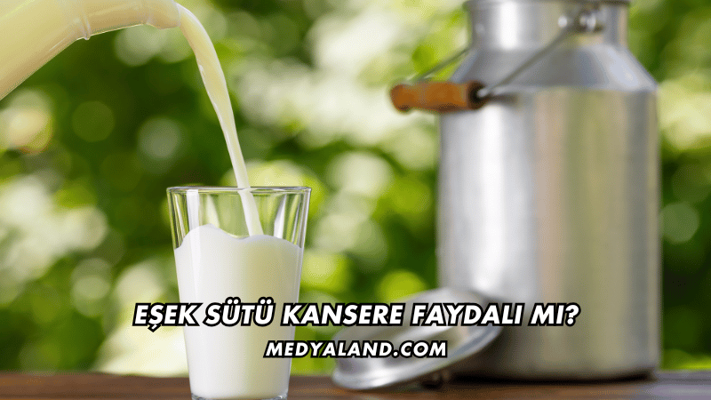 Eşek Sütü Kansere Faydalı mı?