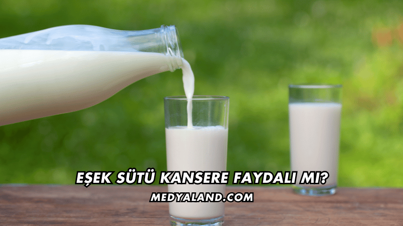 Eşek Sütü Kansere Faydalı mı?