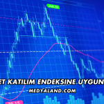 Fonet Katılım Endeksine Uygun mu?