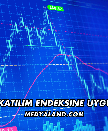 Fonet Katılım Endeksine Uygun mu?