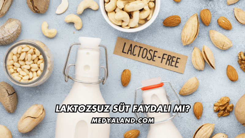 Laktozsuz Süt Faydalı mı?