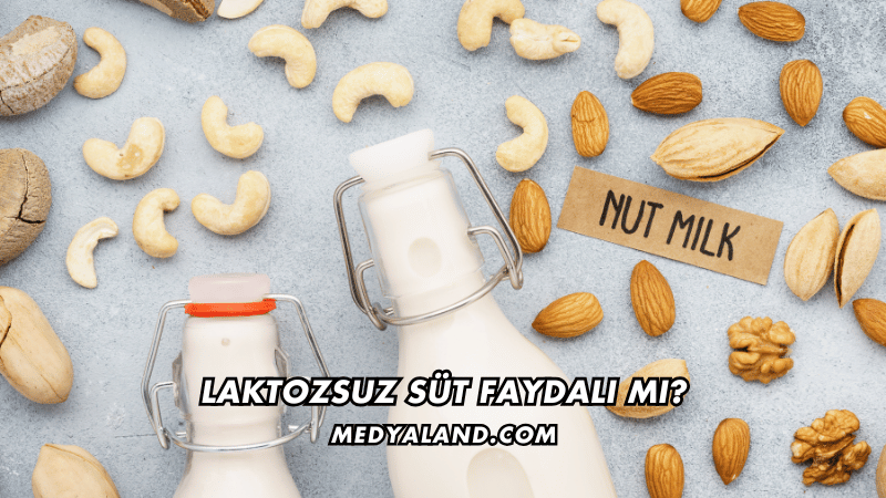 Laktozsuz Süt Faydalı mı?
