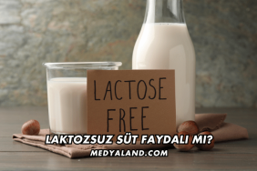 Laktozsuz Süt Faydalı mı