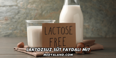 Laktozsuz Süt Faydalı mı