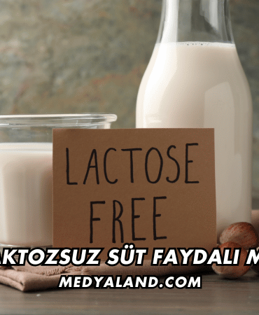Laktozsuz Süt Faydalı mı