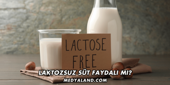 Laktozsuz Süt Faydalı mı?