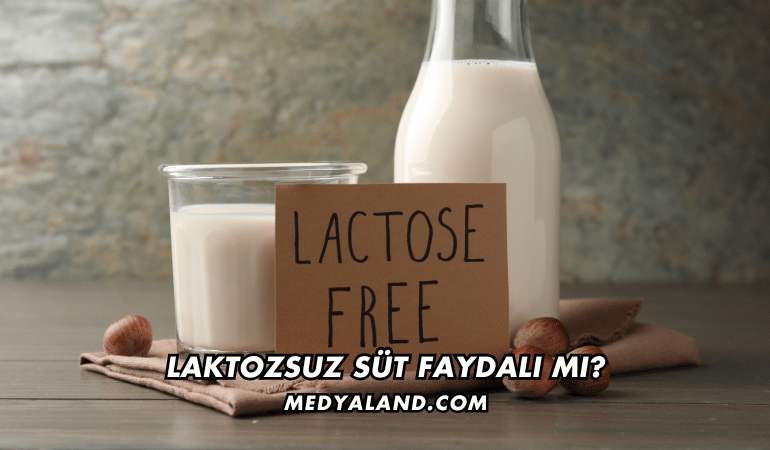 Laktozsuz Süt Faydalı mı